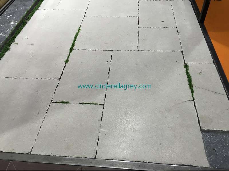 cinderella grey marble tumbled (17)